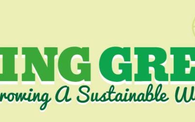 Growing a Sustainable Web