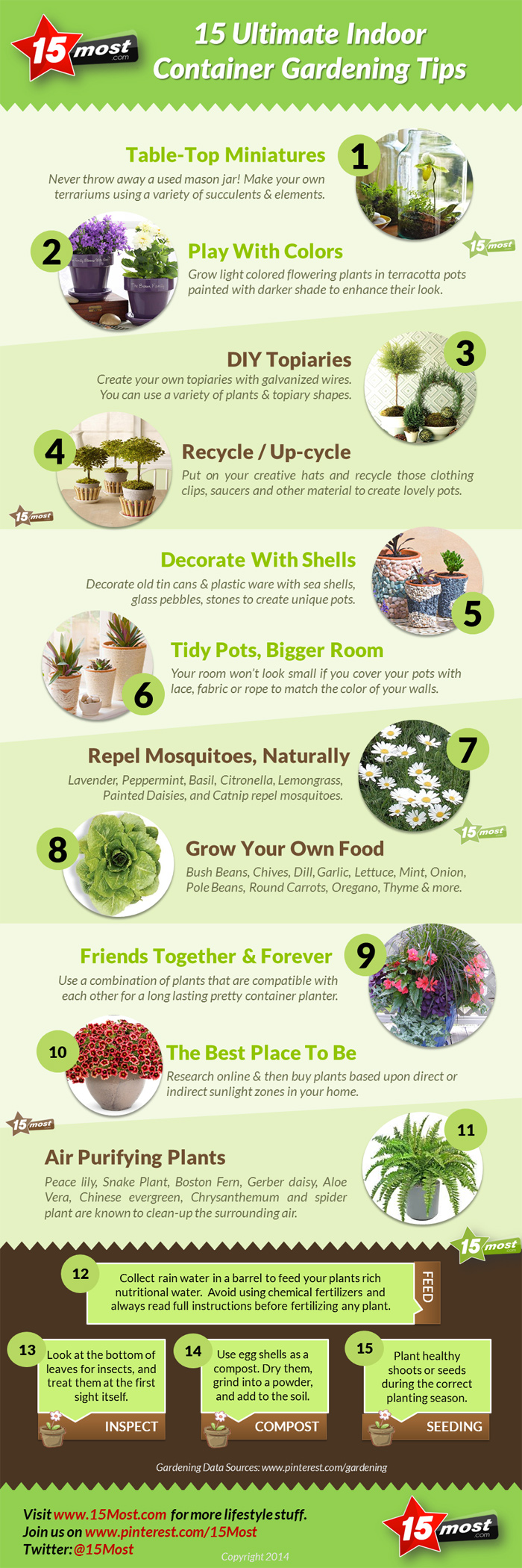 Container Planting Tips