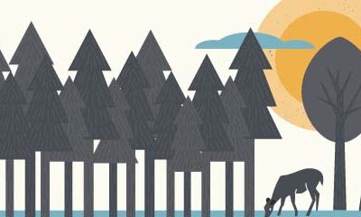 Putting Forests to Work