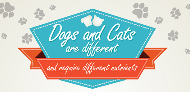 Differences Between Dog & Cat Foods