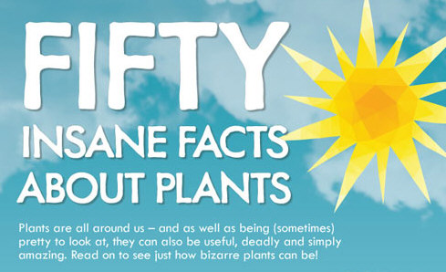 50 Insane Facts About Plants