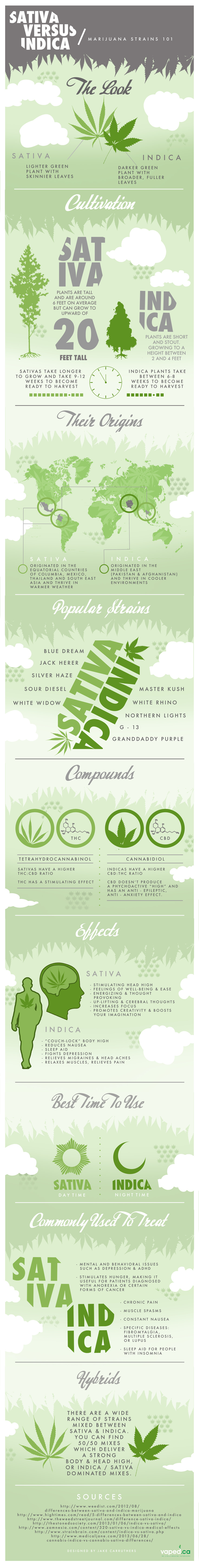 Sativa vs Indica: The Two Major Strains of Cannabis