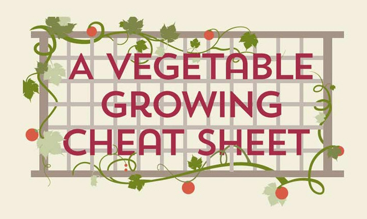 A Vegetable Growing Cheat Sheet