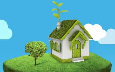Climate Change and Making Your Home Eco-Friendly