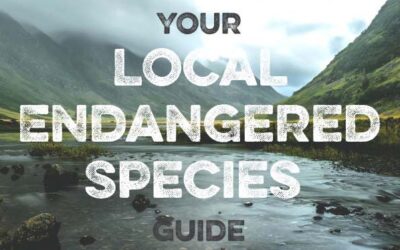 Your UK Local Endangered Species Guide