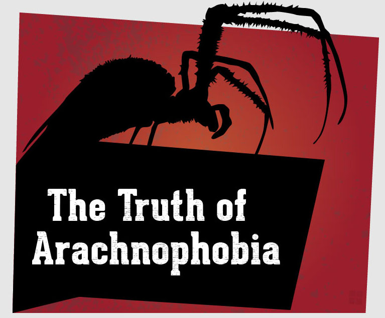 The Truth of Arachnophobia [Infographic]
