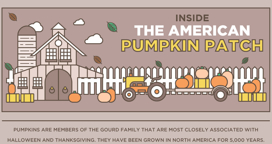 Inside The American Pumpkin Patch