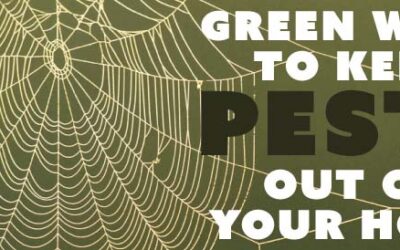 Green Ways to Keep Pests From Your Home