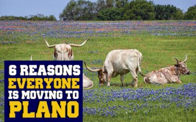 6 Reasons Why Everyone is Moving to Plano