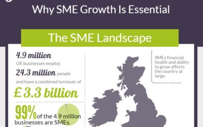 Business Growth Capital Is Critical To UK Small Businesses