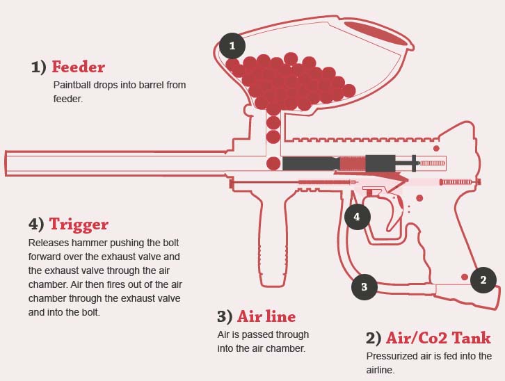 How SemiAutomatic Paintball Guns Work [Animated Infographic]