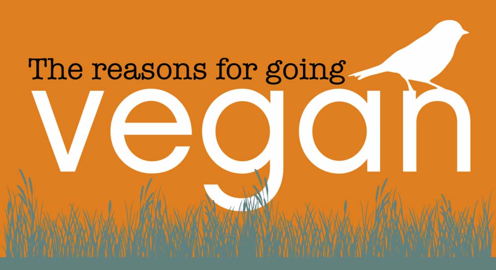 The Reasons For Going Vegan