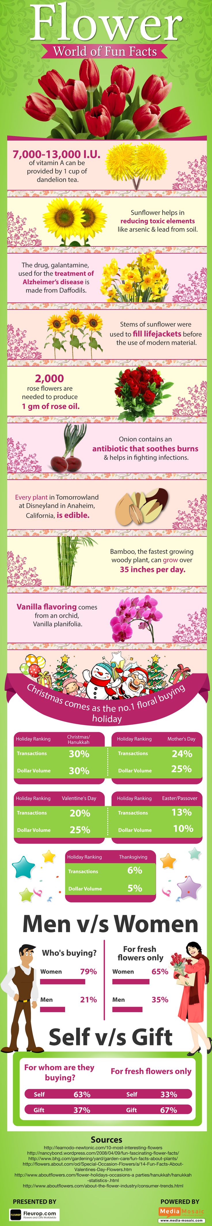 Flower World of Fun Facts [Infographic]