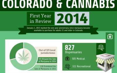 Cannabis in Colorado – The First Year in Review