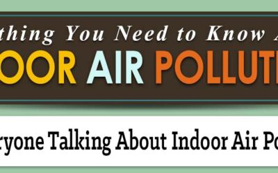 Everything You Need to Know About Indoor Air Pollution