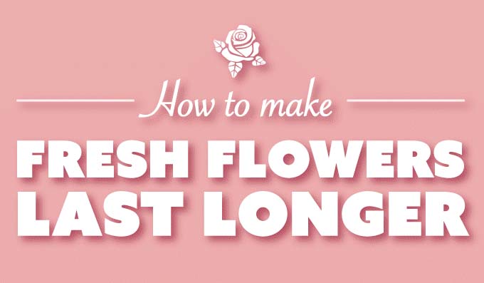 How to Make Fresh Flowers Last Longer