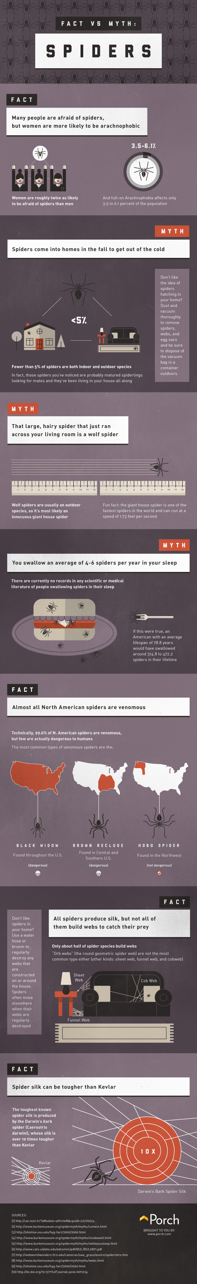 Facts Vs Myths About Spiders