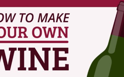 How to Make Your Own Wine