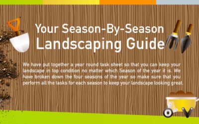 Your Season By Season Landscaping Guide