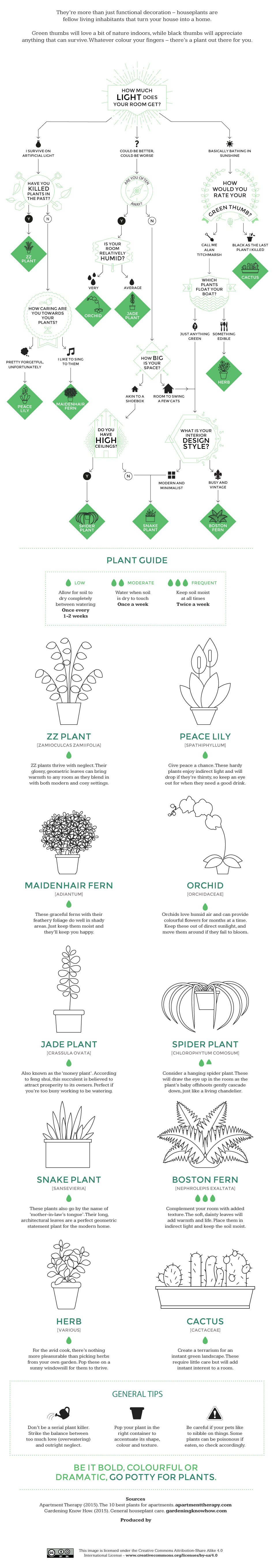 Which Indoor Plant is Right for Your Home?
