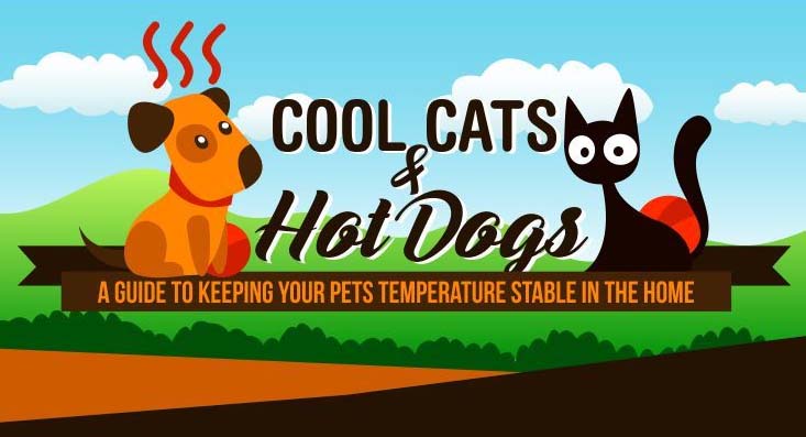Keeping Ambient Temperatures For Healthy Pets