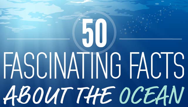 50 Fascinating Facts About the Ocean