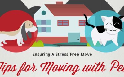 Moving Home with Pets