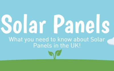 What You Need to Know About Solar Panels