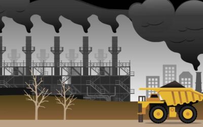 Why Care About Pollution?