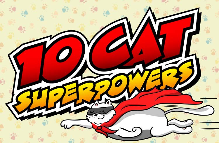 10 Cat Superpowers