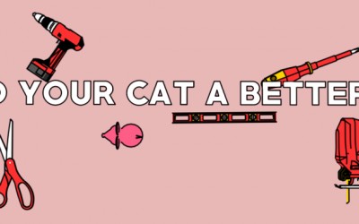 Build Your Cat a Better Life