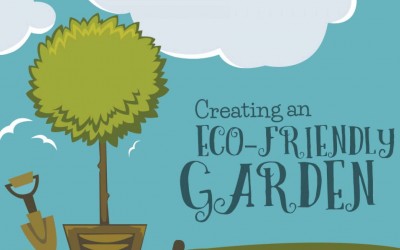 Creating an Eco-Friendly Garden