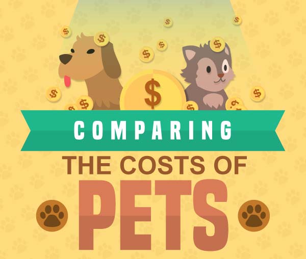 Comparing the Costs of Pets [Infographic]