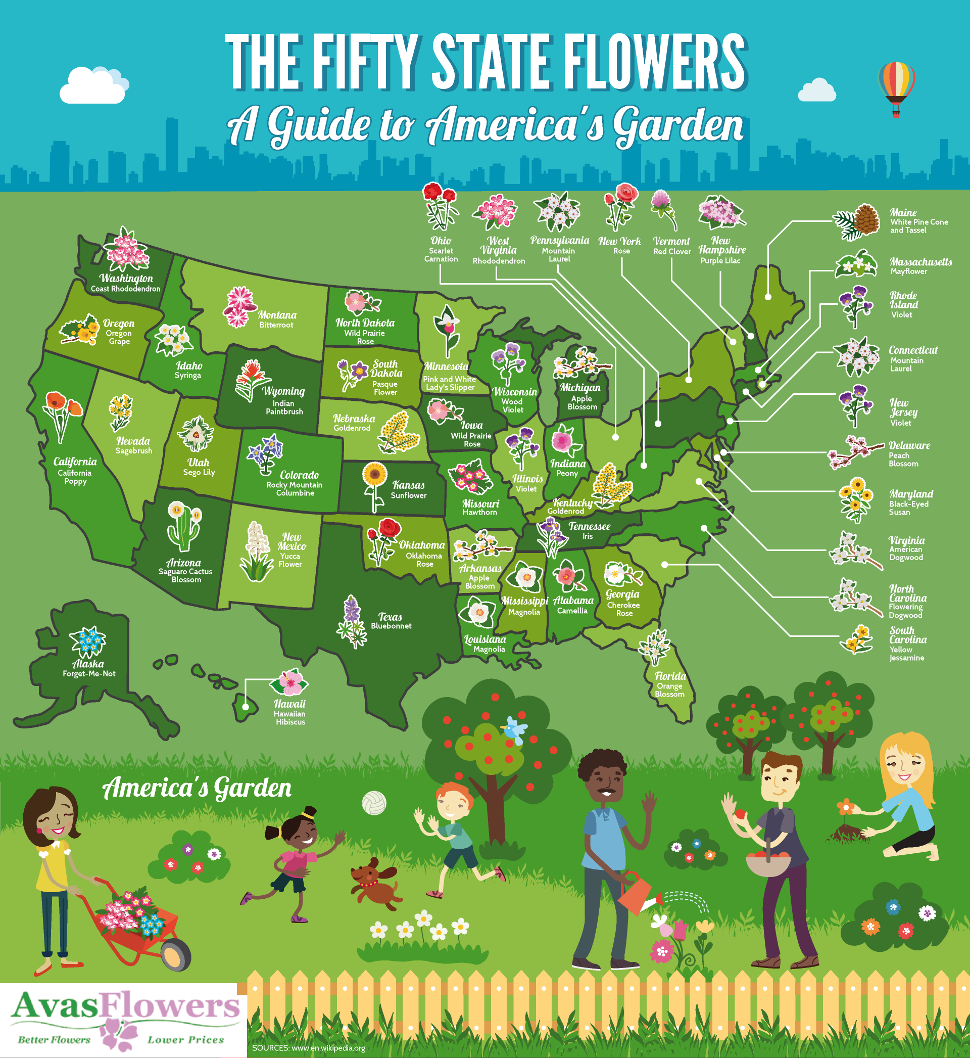 The Fifty State Flowers: A Guide to America's Garden