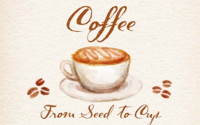 Coffee: From Seed to Cup