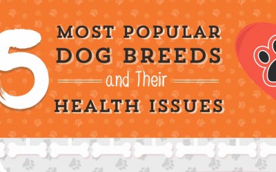 Popular Dog Breeds and Their Natural Health Problems
