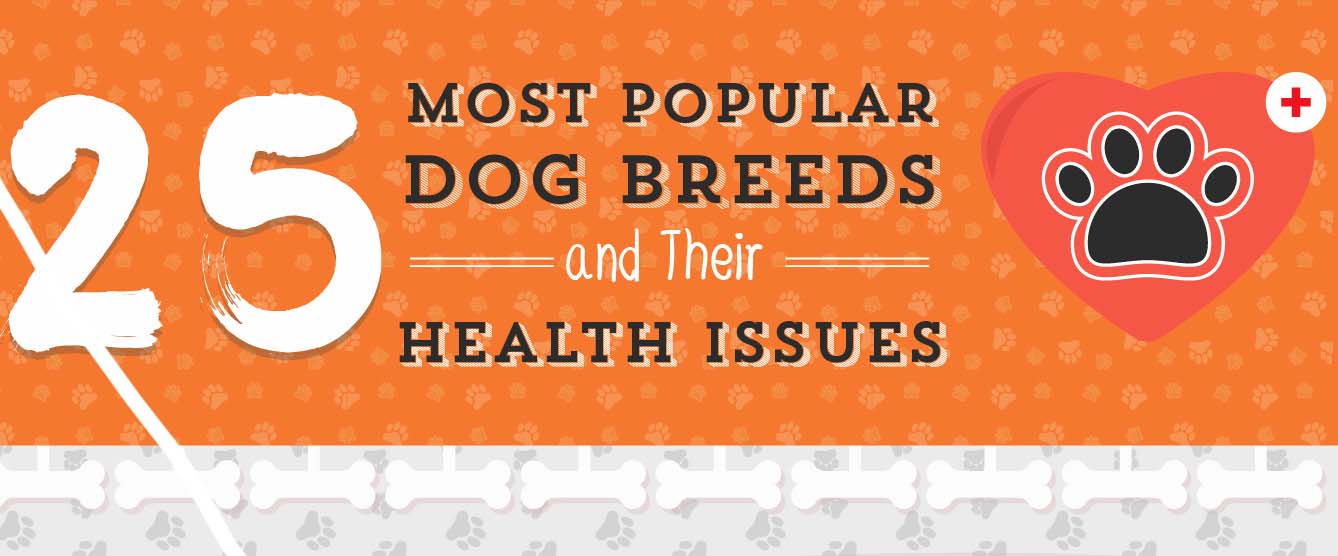 Popular Dog Breeds and Their Natural Health Problems [Infographic]