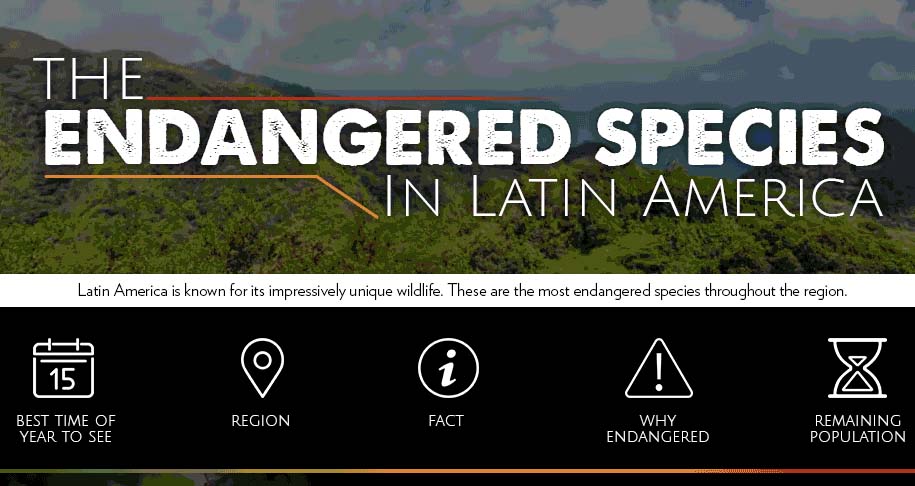 The Endangered Species In Latin America [Animated Infographic]