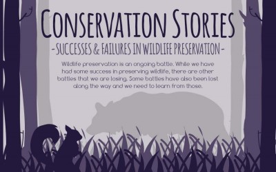 Conservation Stories: Successes & Failures in Wildlife Preservation