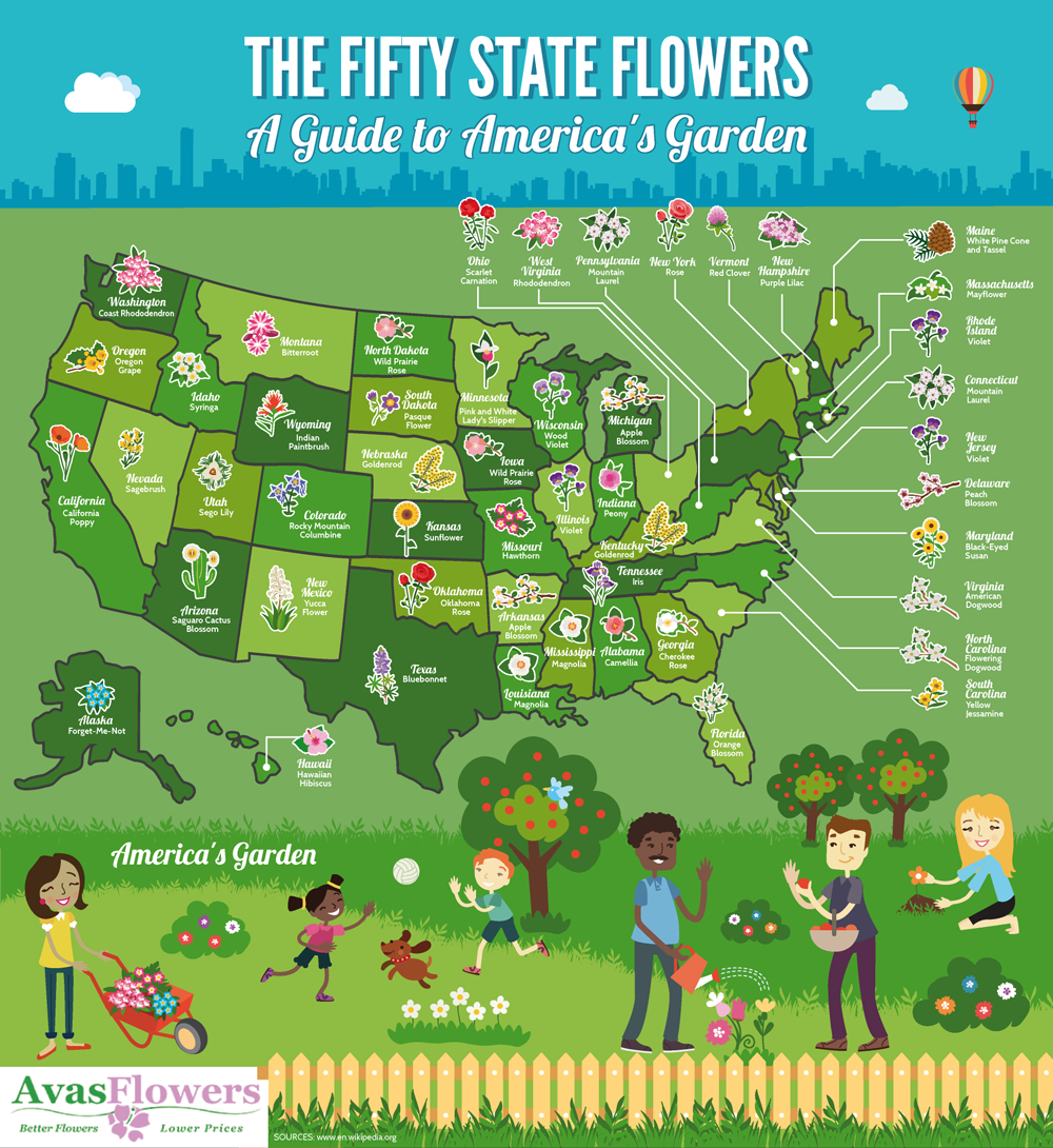 The Fifty State Flowers: A Guide to America’s Garden