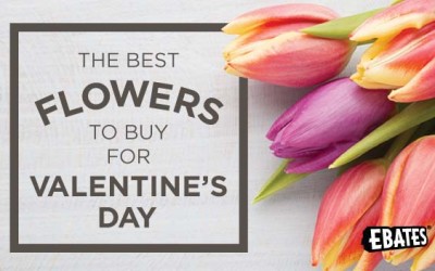 The Best Flowers to Buy for Valentine’s Day