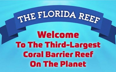 The Florida Reef