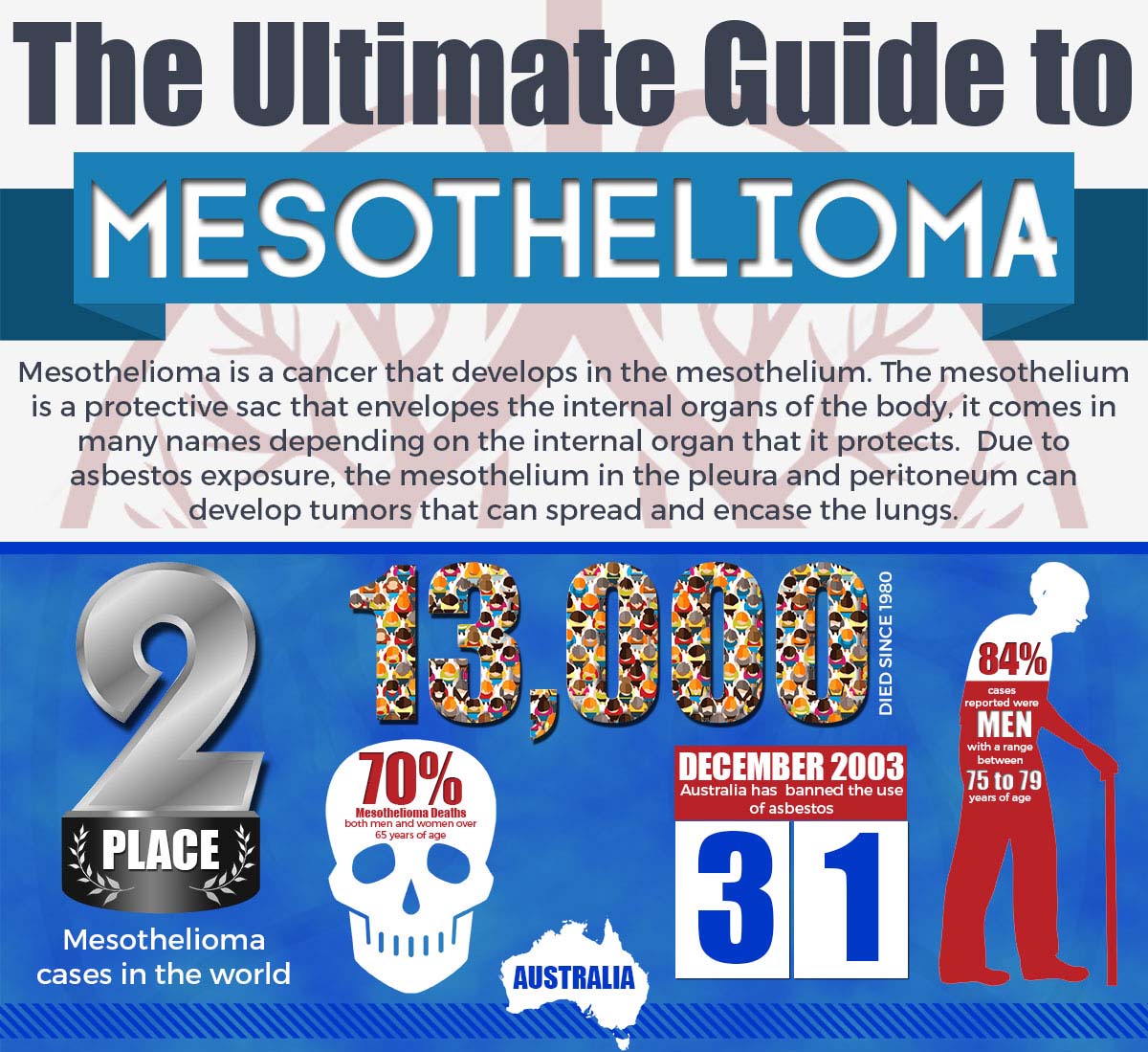 The Ultimate Guide To Mesothelioma Infographic