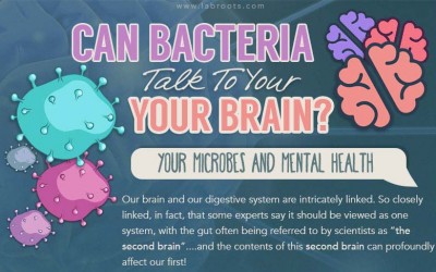 Can Bacteria Talk to Your Brain?