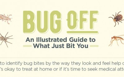 Bug Off – An Illustrated Guide To What Just Bit You