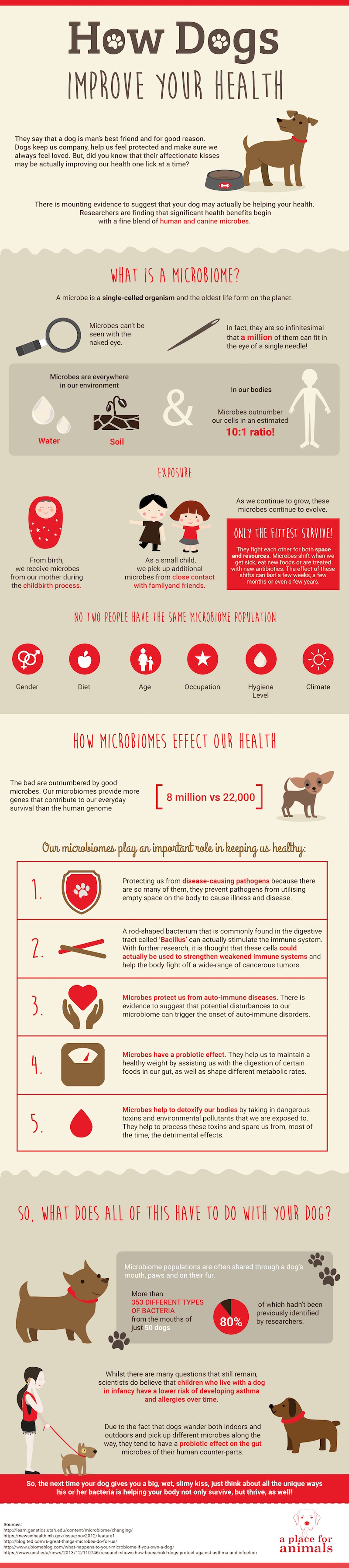 How Dogs Improve Your Health