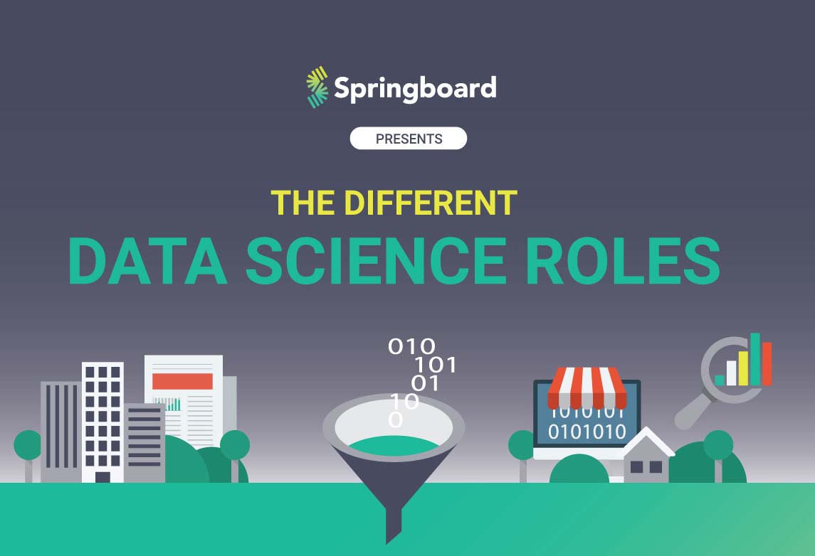 The Different Data Science Roles [Infographic]