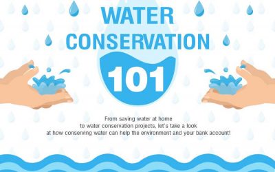 Water Conservation 101