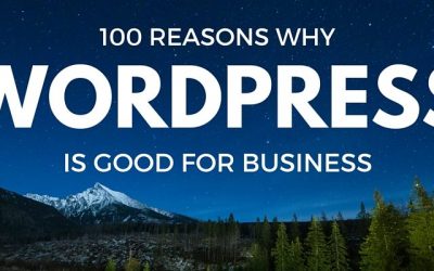 100 Reasons Why WordPress Is Good For Business