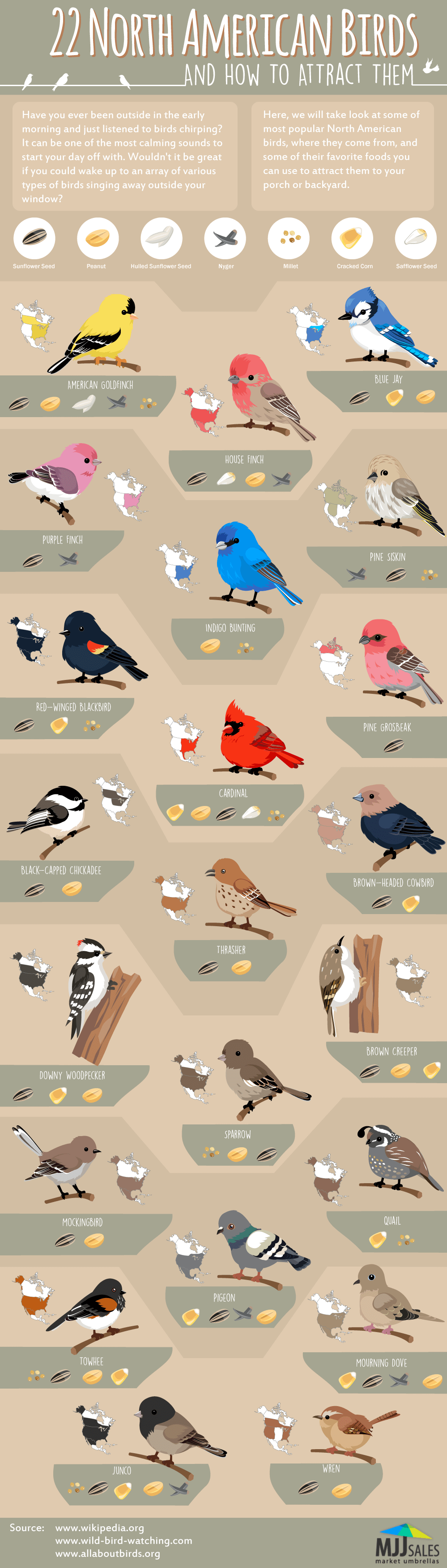 22 North American Birds and How to Attract Them